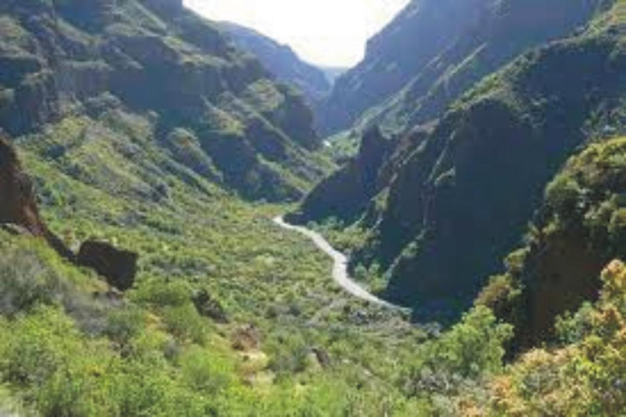 Multiaventura En Agueimes Lägenhet Exteriör bild